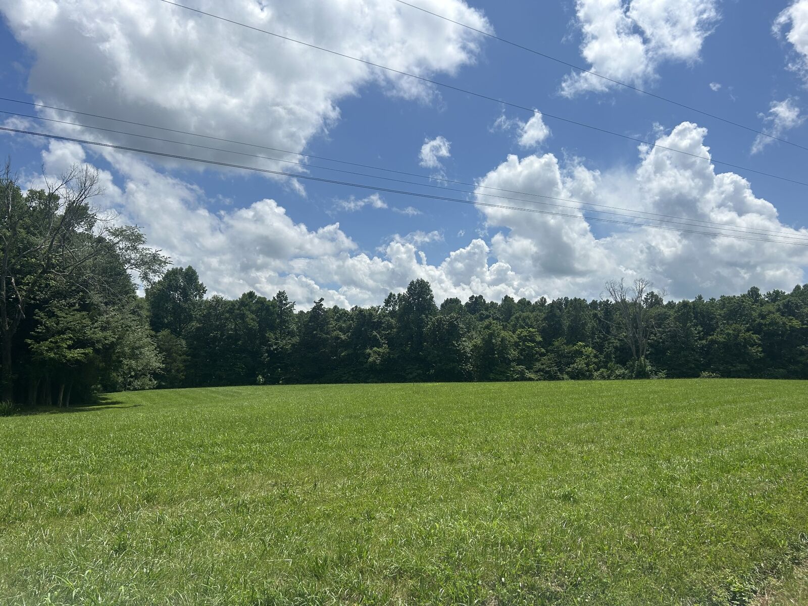 Property Photo:  0 Holland Hill Lane  TN 37355 