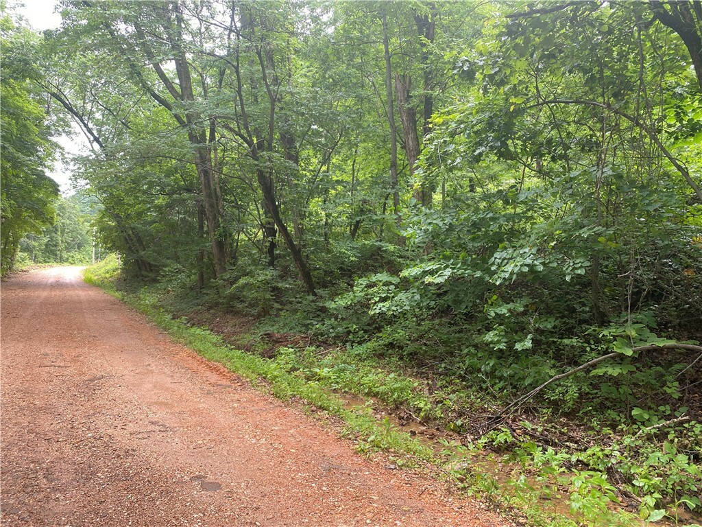 Property Photo:  1554 Nc 6020 Road  AR 72641 