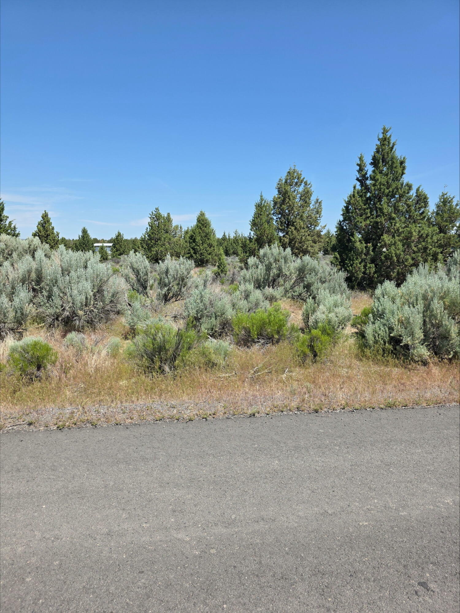 Property Photo: