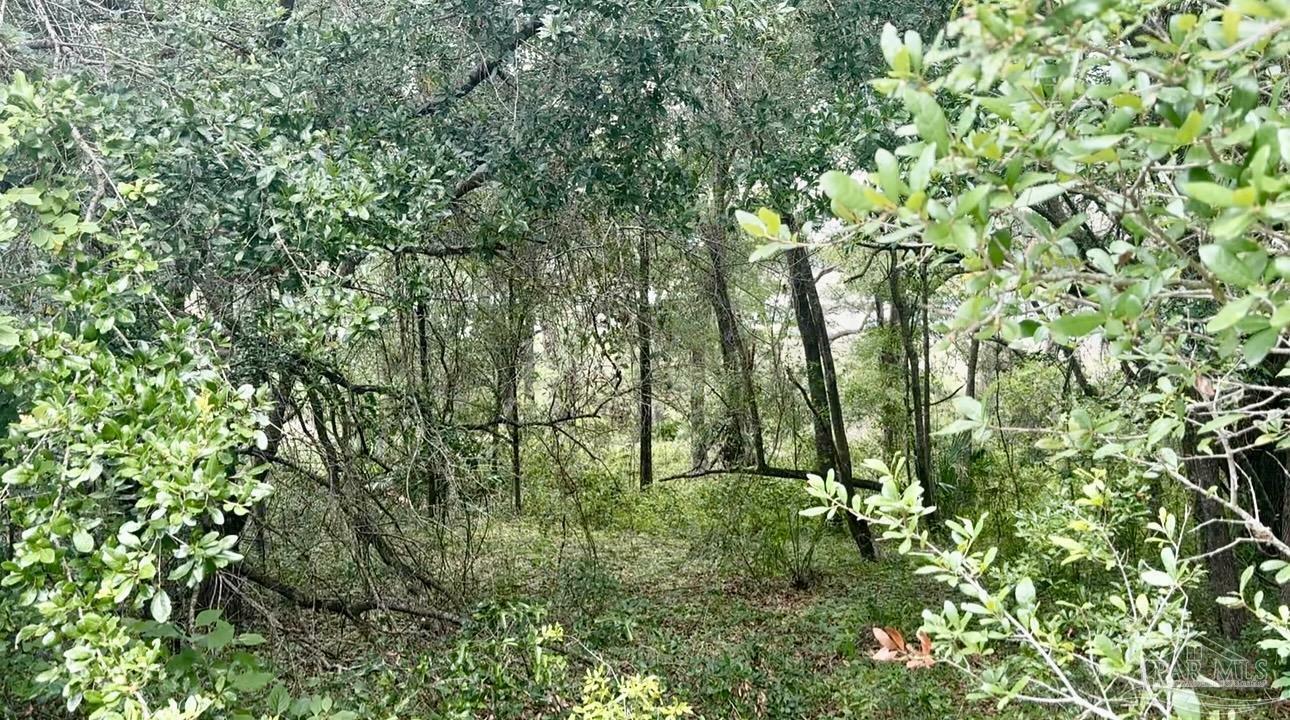 Property Photo: 0 Shorewood Dr FL 34431