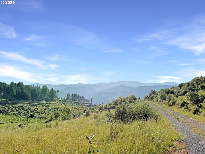 466 Gardner Ridge Rd  Brookings OR 97415 photo