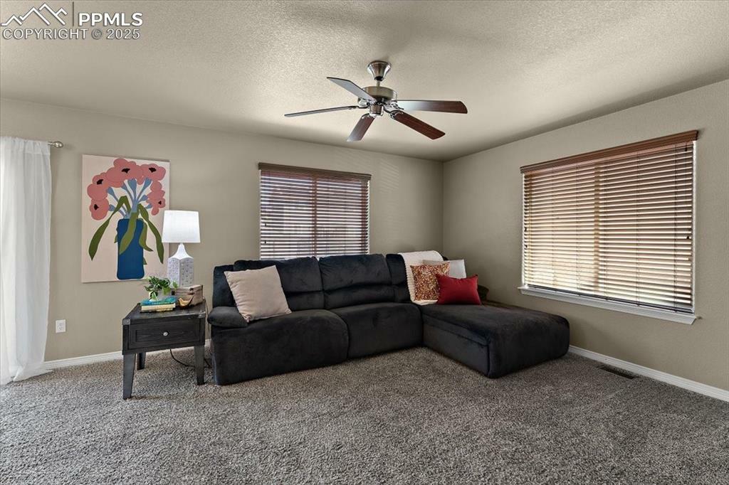 Property Photo: 6137 Popper Drive CO 80925