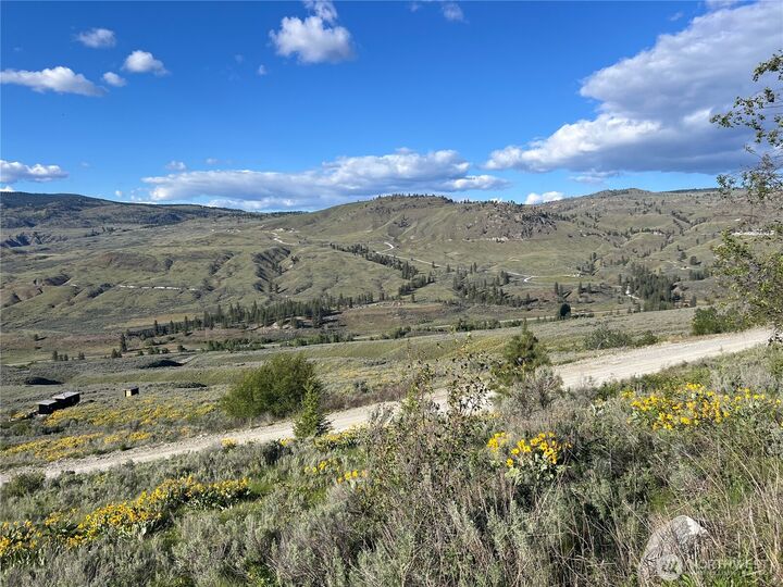 Property Photo: 7 Gold Rush Ridge Road WA 98844