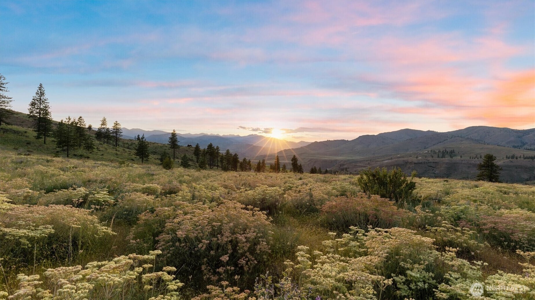 Property Photo: 767 Bill Shaw Road WA 98846