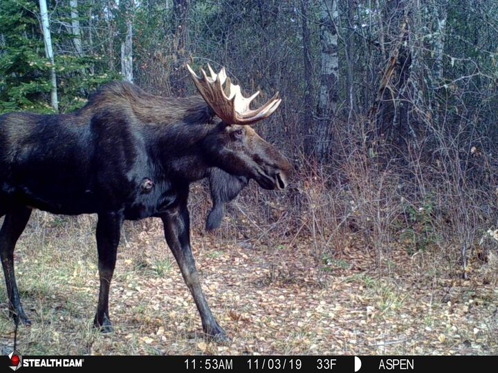 Property Photo: 43xx Lumberg Rd WA 99173