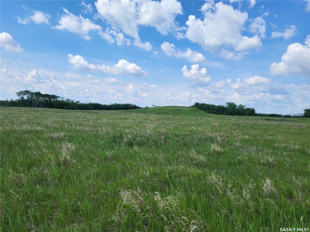 Property Photo:  Rural Address  SK S0K 0E0 