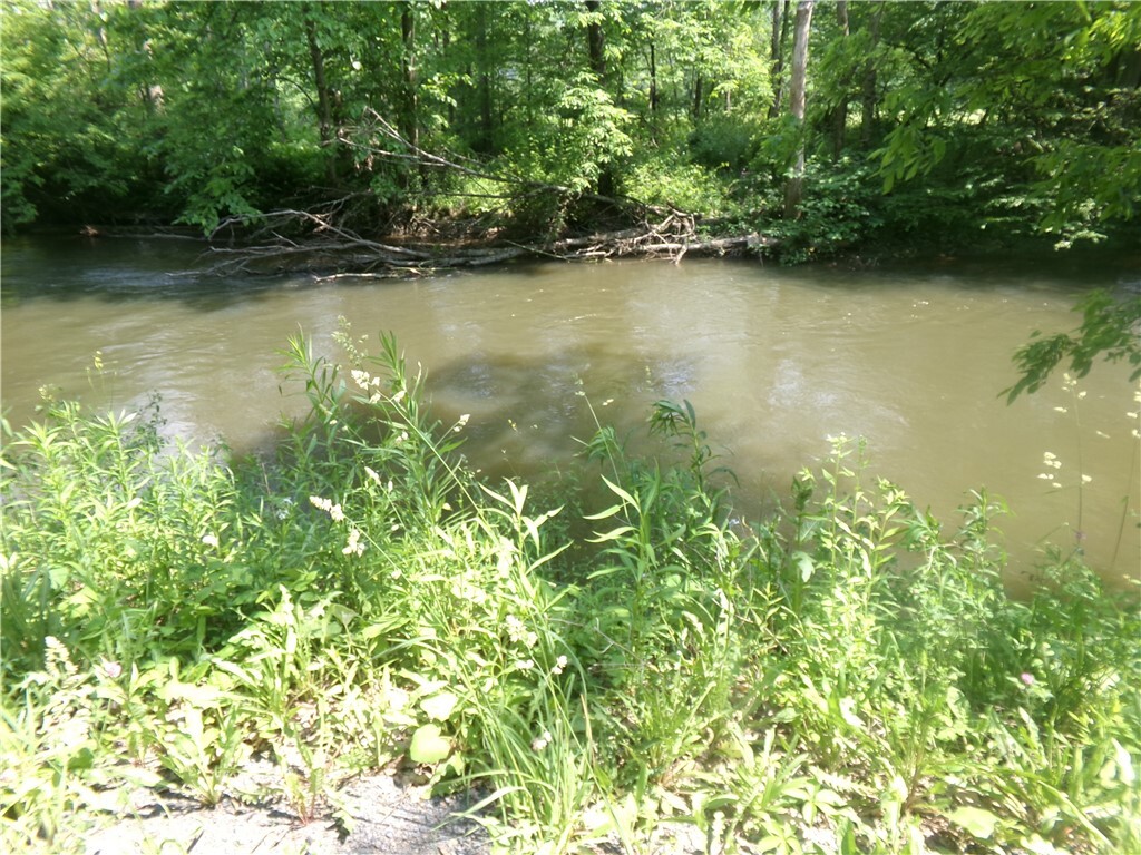Property Photo: 0 Gridleyville Road NY 14883