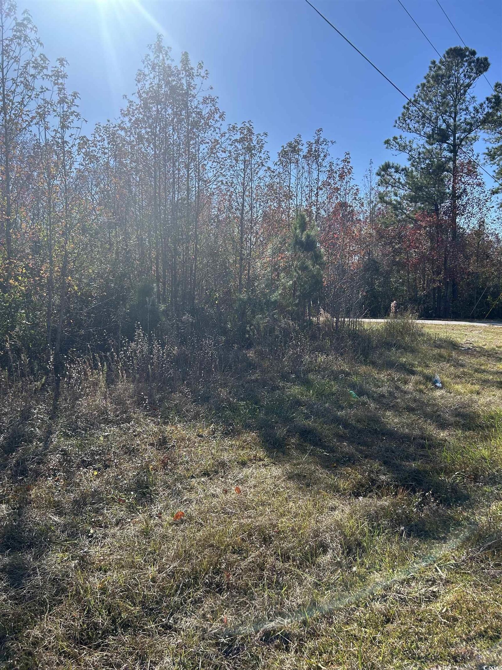 Property Photo:  Tbd Apple Valley Rd.  SC 29569 