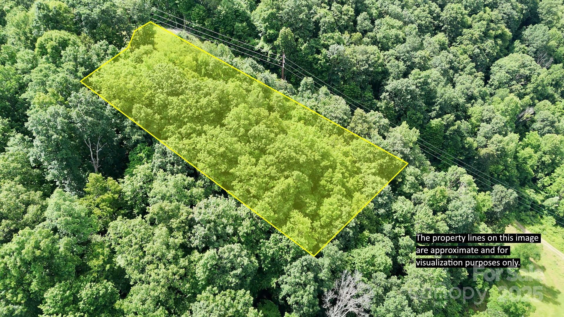 Property Photo:  00 Liner Cove Road 1  NC 28786 