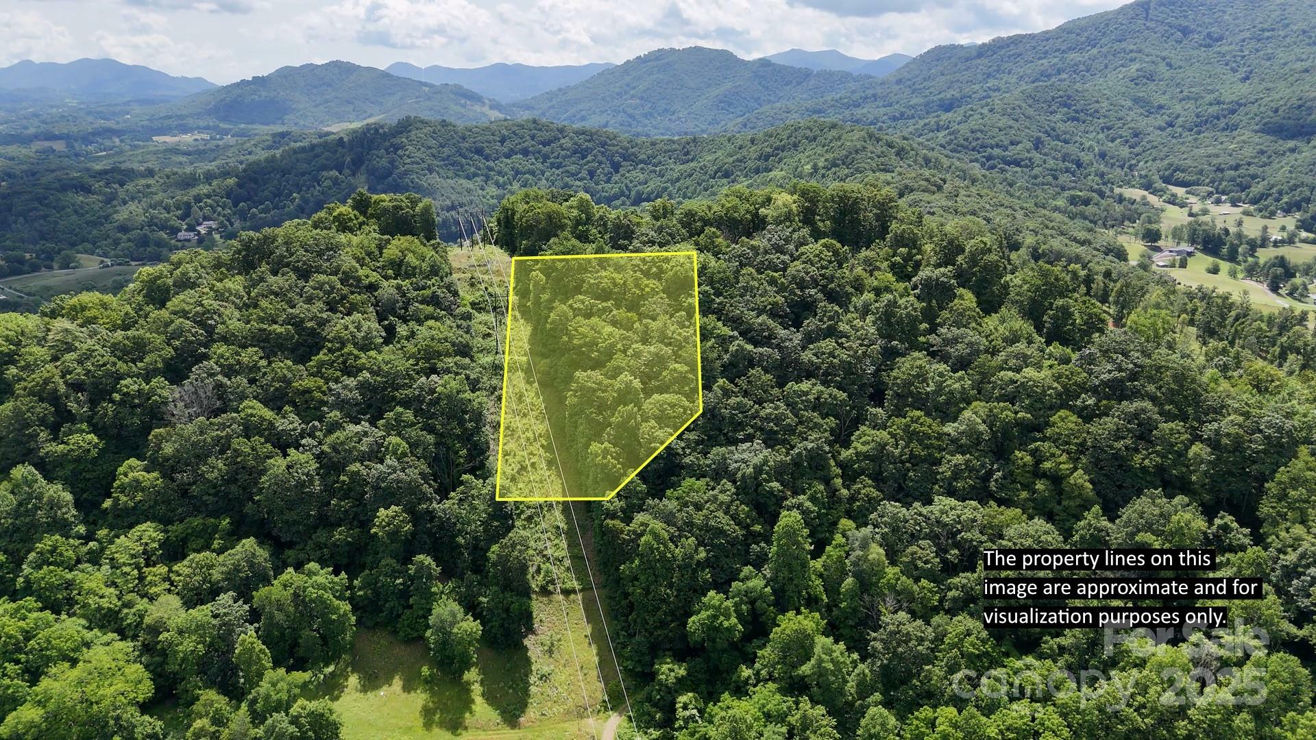 Property Photo:  00 Liner Cove Road 2  NC 28786 