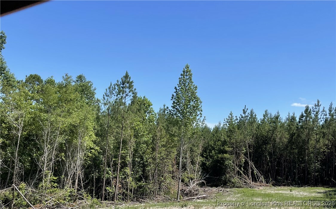 Property Photo:  0 Henschel Lane  NC 27505 