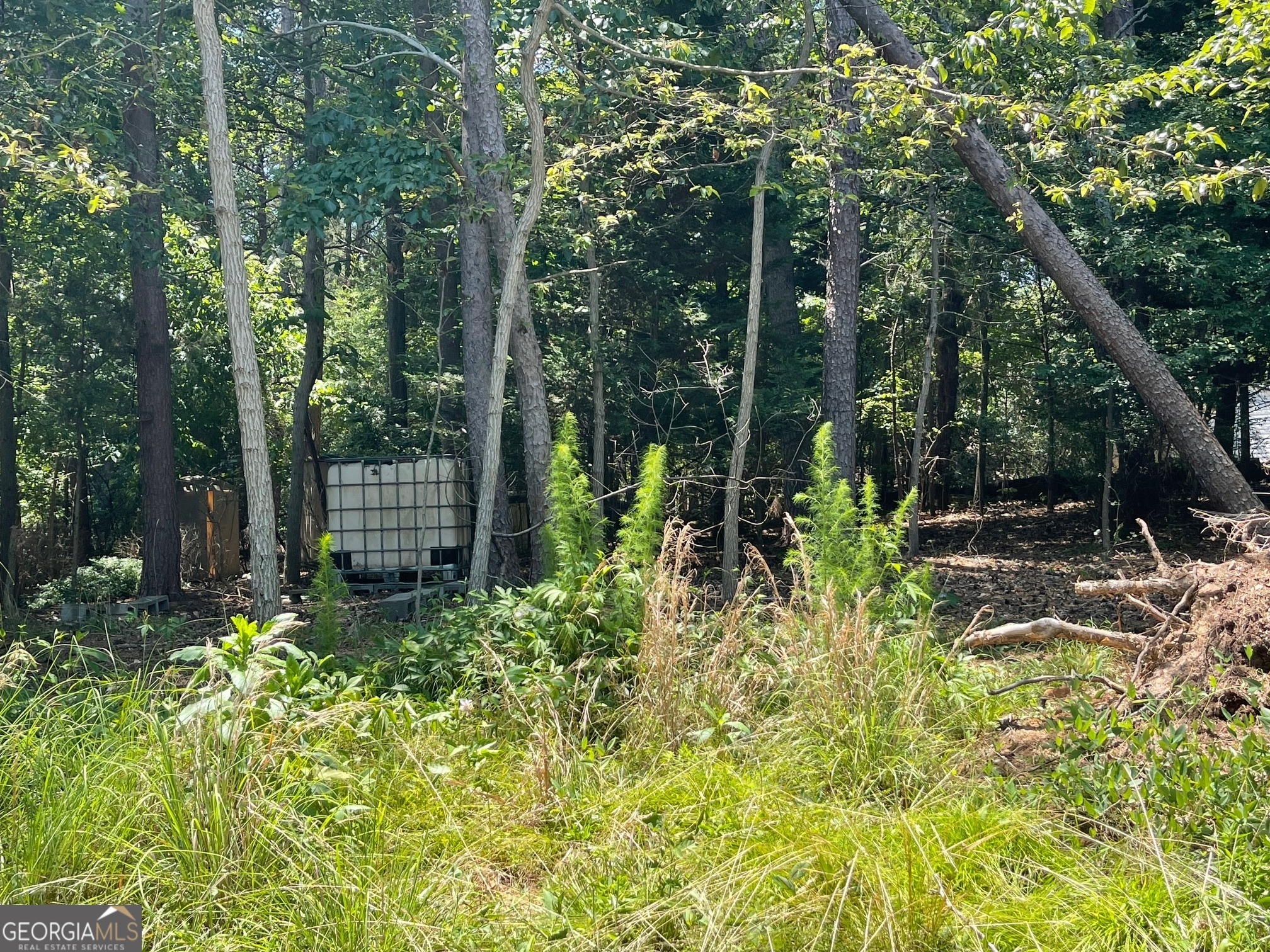 Property Photo: Lot 3 Big Water Circle GA 30643