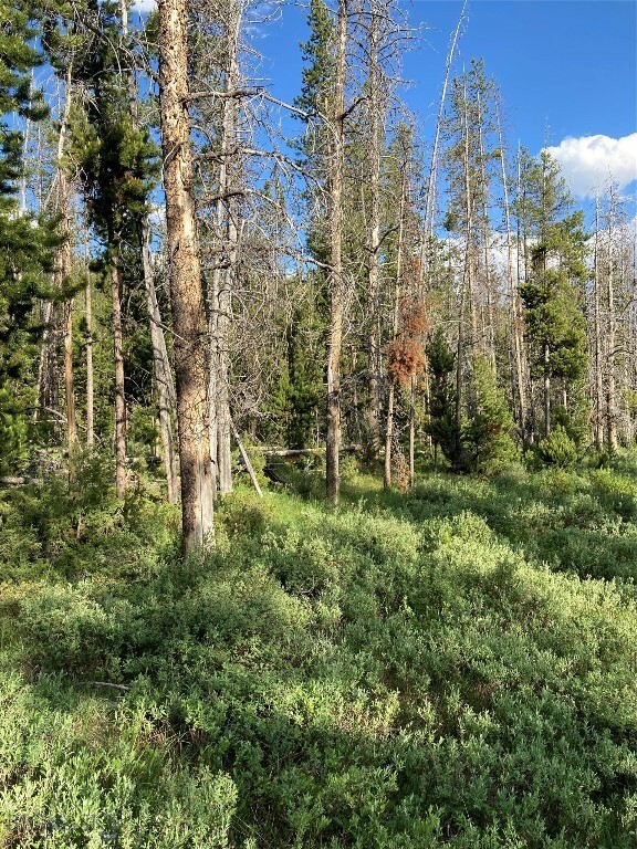 Property Photo: Tbd Grouse Hill MT 59711