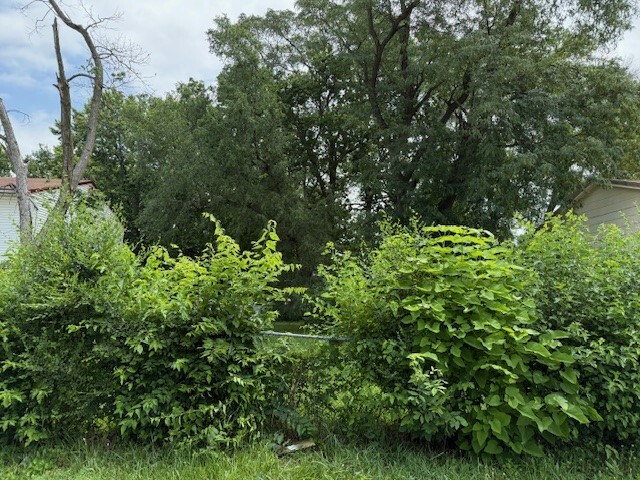 Property Photo:  Lot 56 E 16th Street  IA 50316 