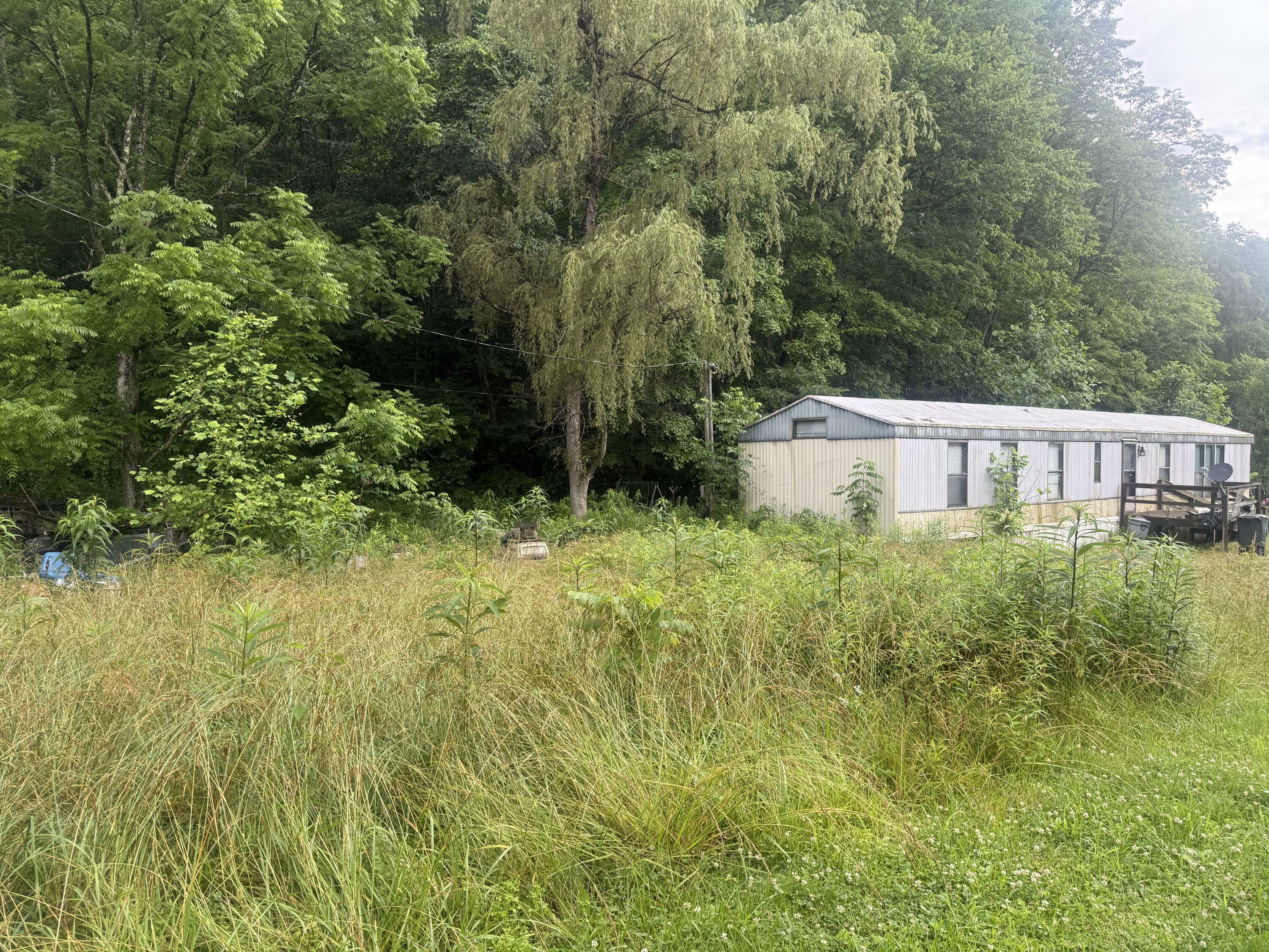 Property Photo: 293 Ora Stevens Road KY 41171
