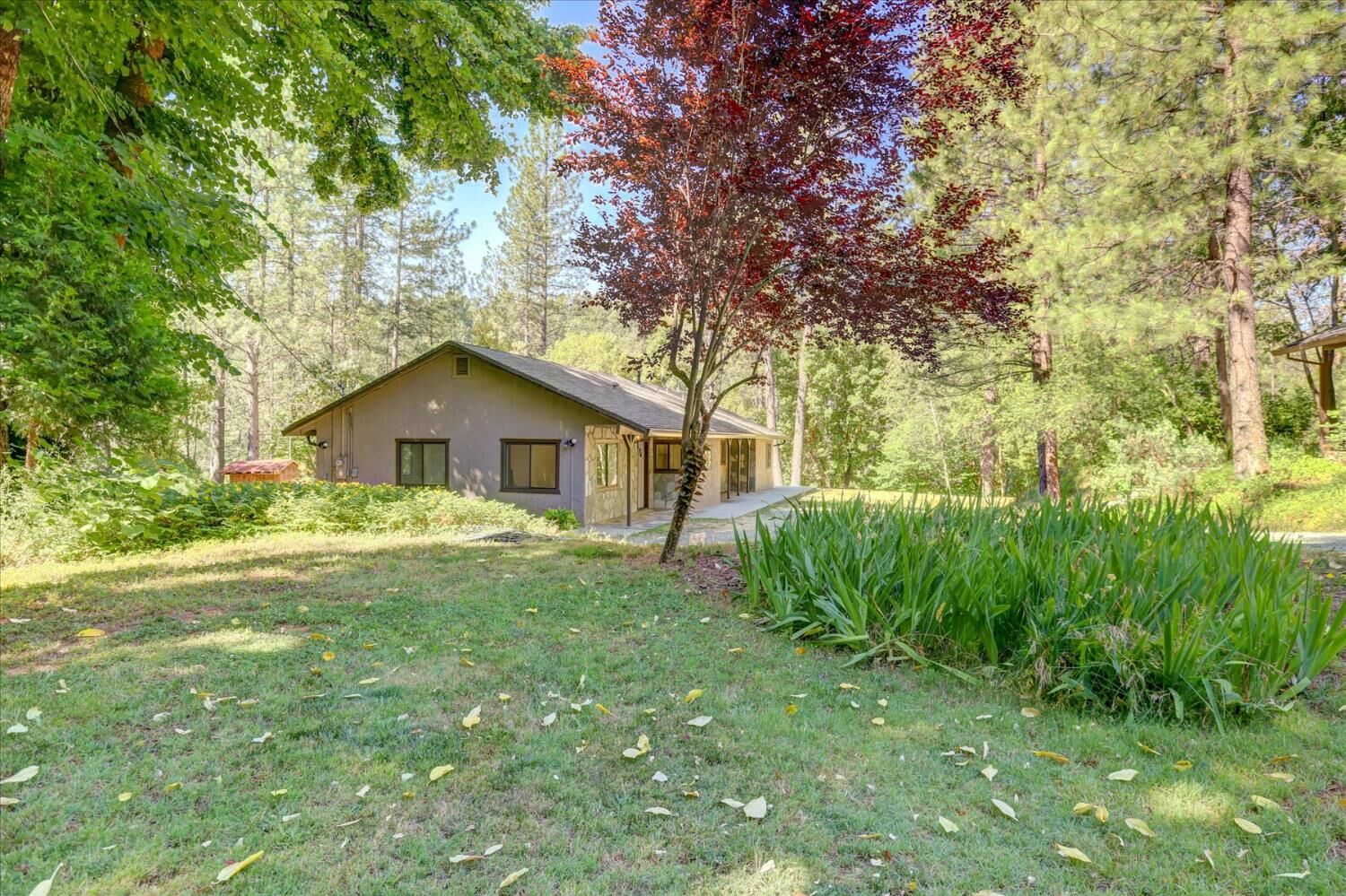 Property Photo:  12368 E Bennett Road  CA 95945 