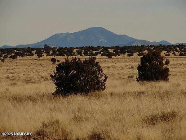 Property Photo:  7428 Mineral Wells Road  AZ 86046 