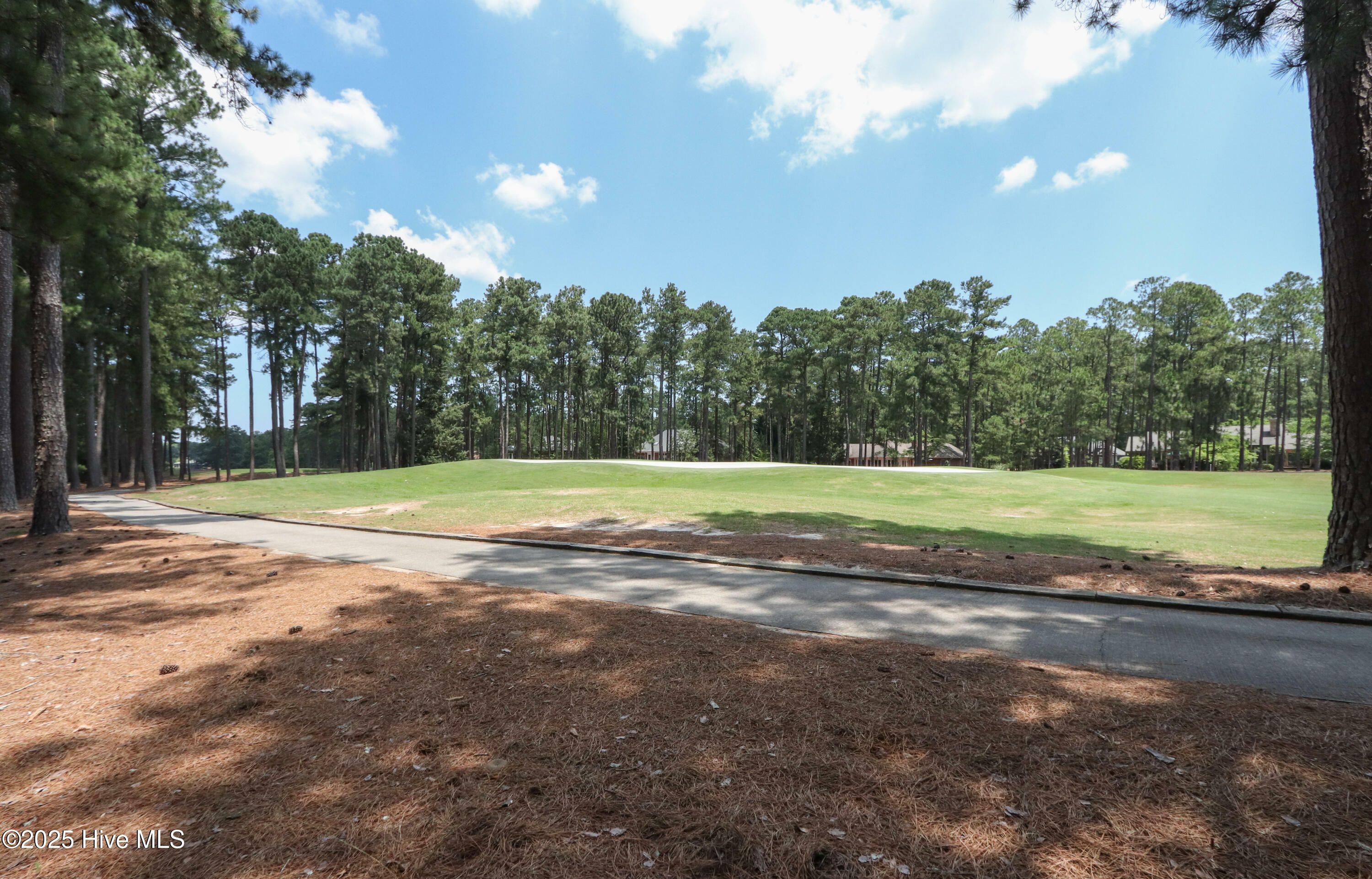 Property Photo: 43 McMichael Drive NC 28374