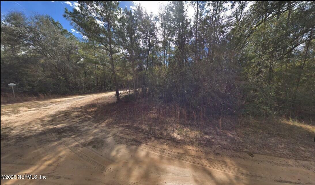 Property Photo: 0 Sigman Street FL 32140