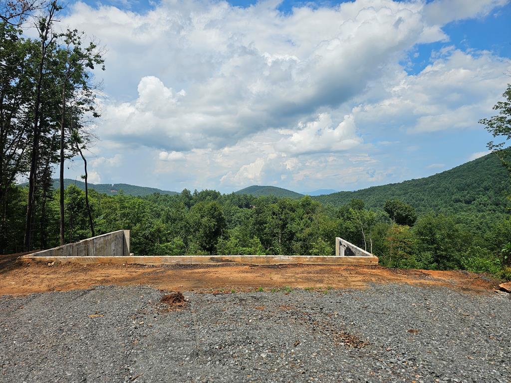 Property Photo:  474 Buck Creek Trail  GA 30541 