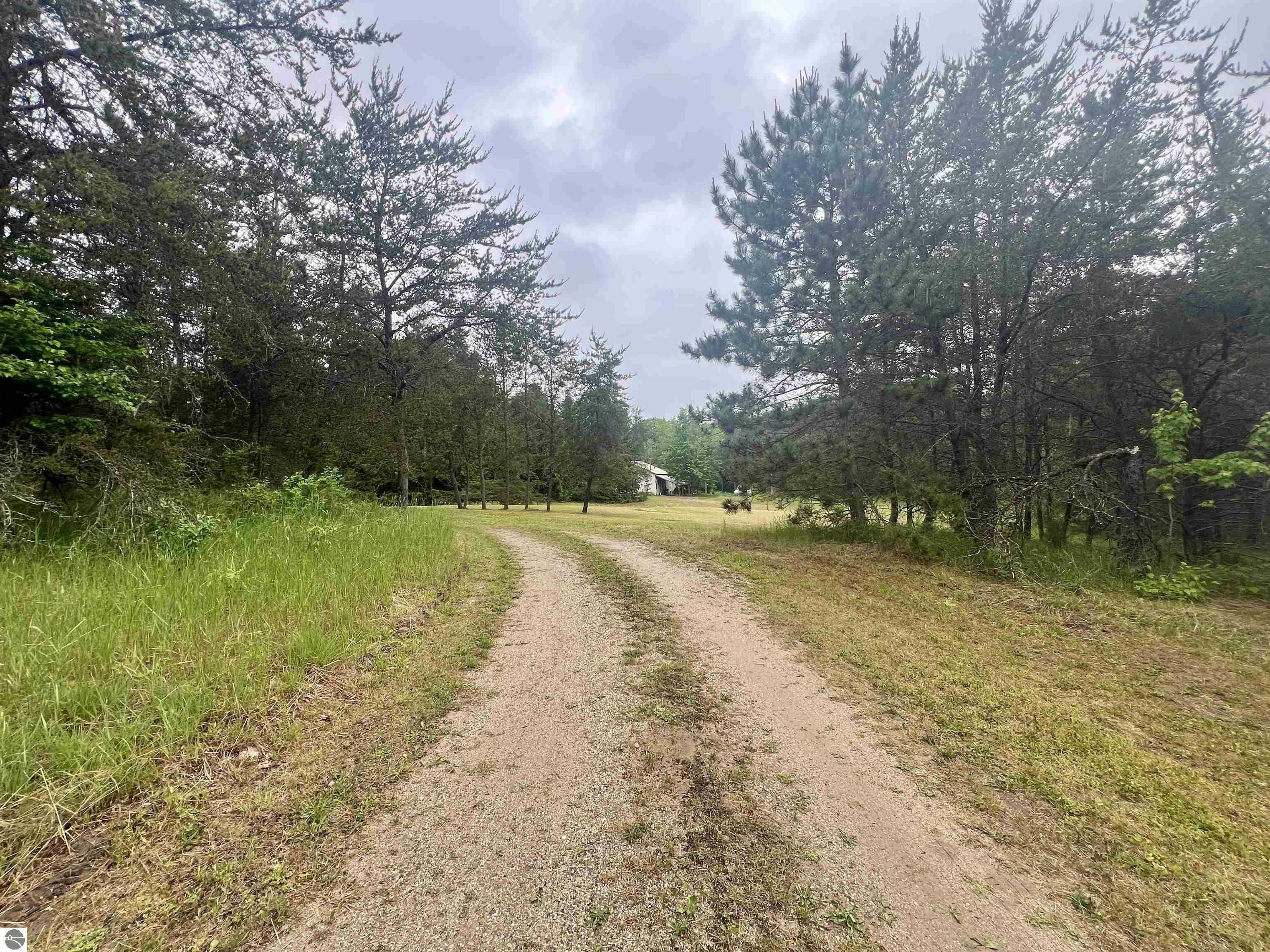 Property Photo: 8536 E 5 Mile Road MI 49656