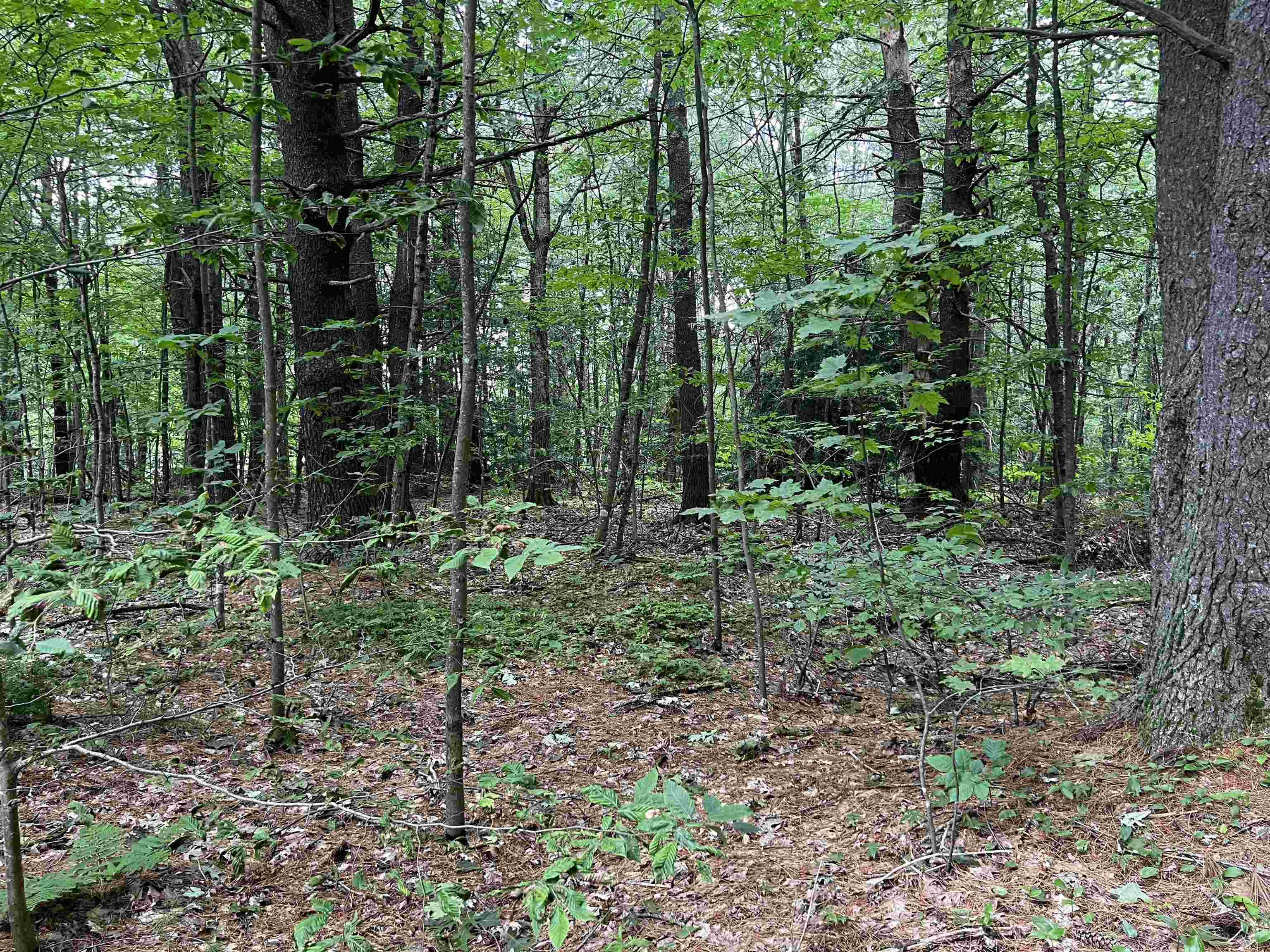Property Photo:  0 Carpenter Hill Road  NH 03436 