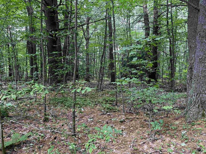Property Photo: 0 Carpenter Hill Road NH 03436