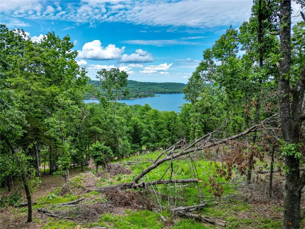 Property Photo: Tract 2 Cedar Rail Ridge Whispering Hills AR 72732