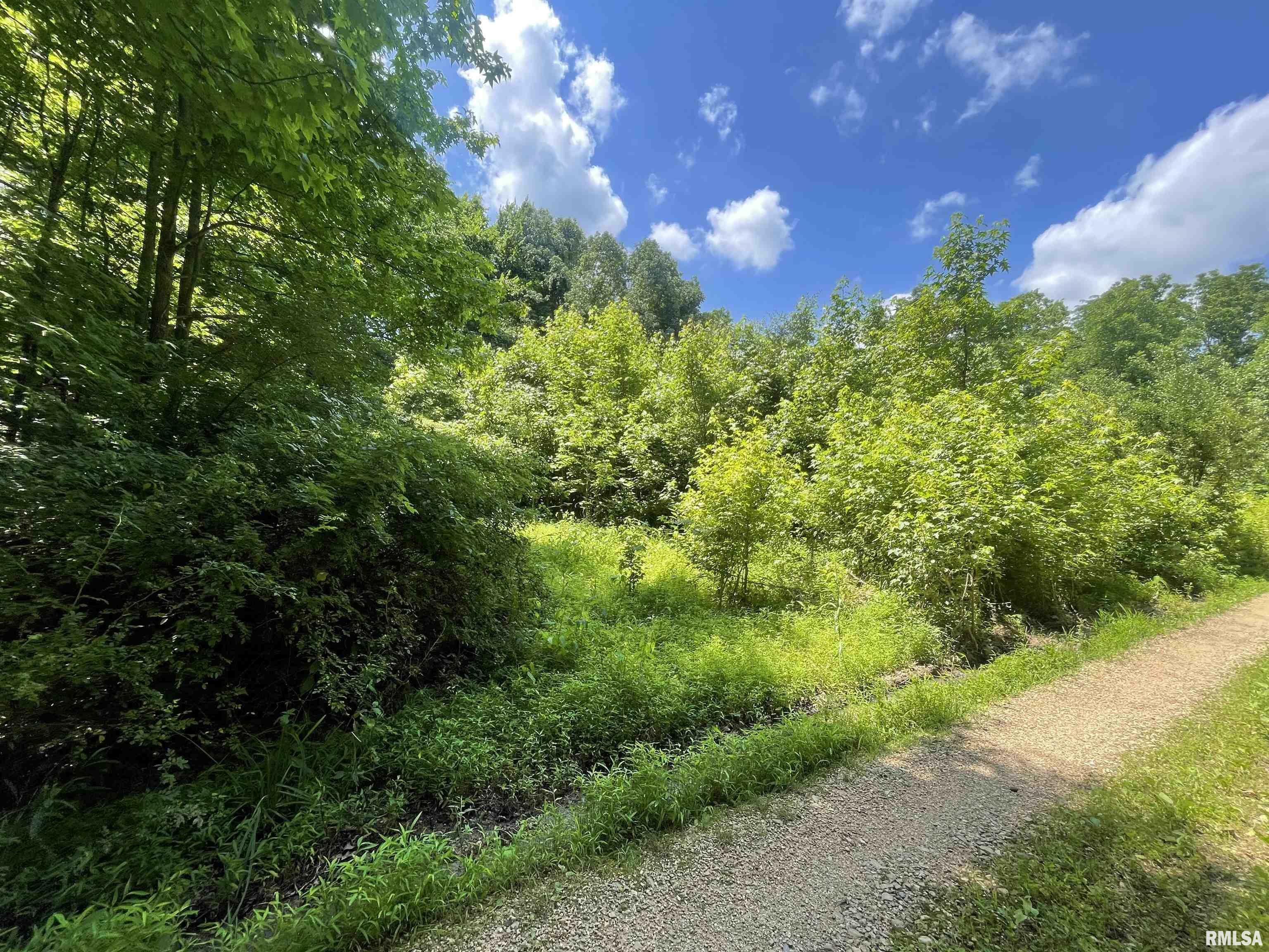 Property Photo: 5 W River Rock Road IL 62966
