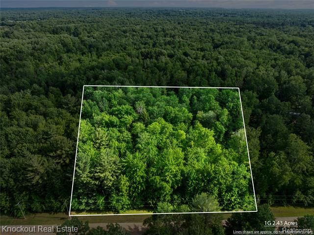 Property Photo: #0015 V/L Birch Lane MI 48768