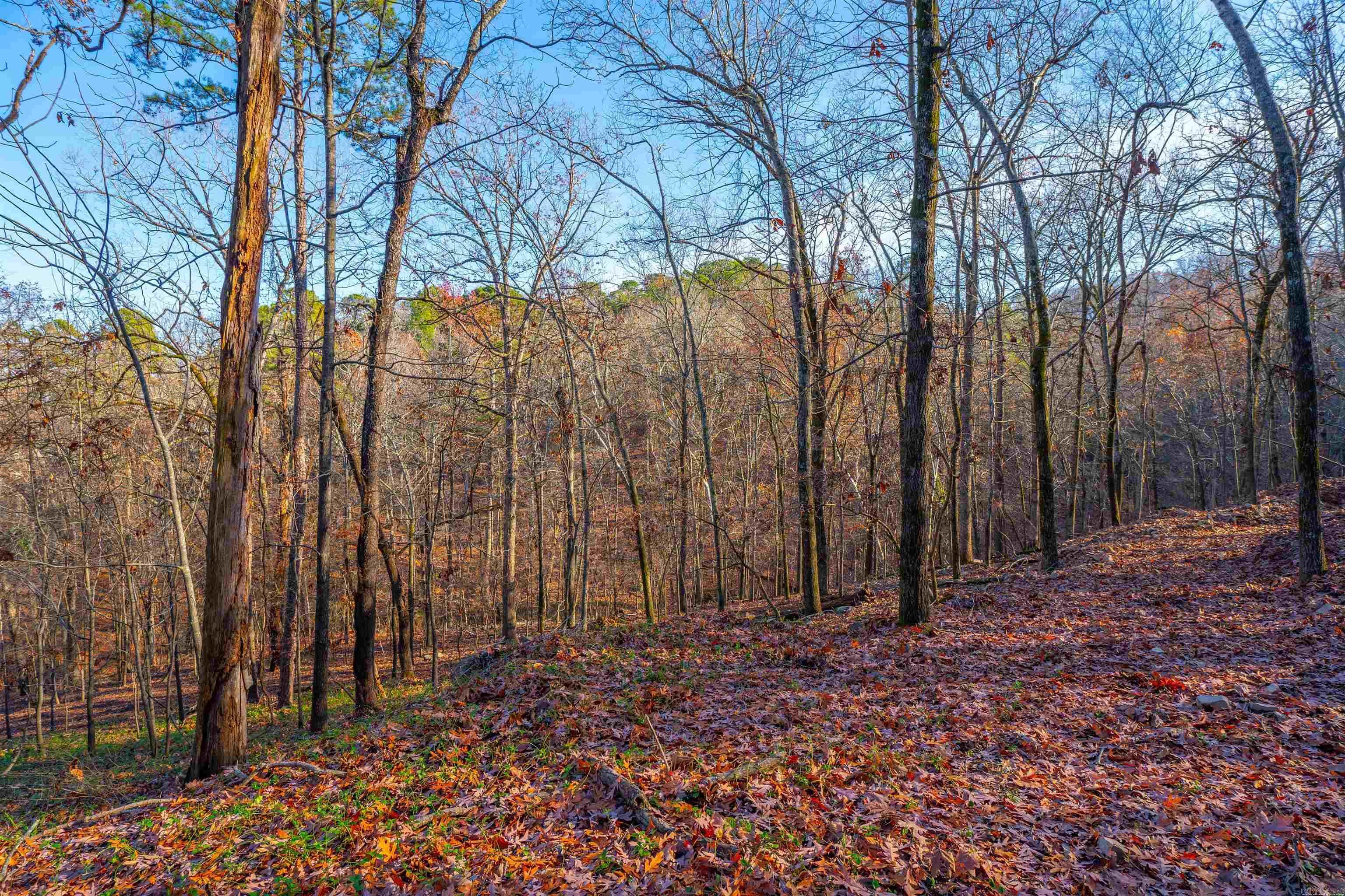 Property Photo: 10 Greathouse Bend AR 72207