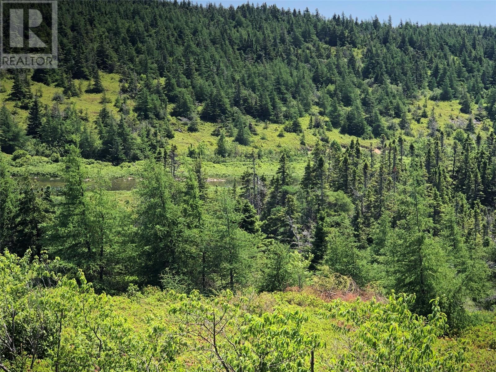 Property Photo:  0 Black Duck Pond Road  NL A0A 1W0 