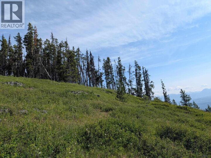 Property Photo:  6 Hudson Bay Mountain Road Lot  BC V0J 2N2 