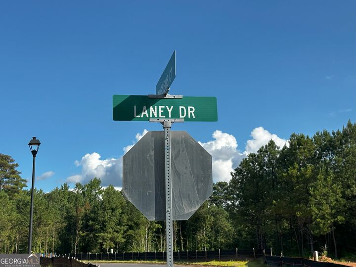 Property Photo:  212 Laney Drive Lot 60  GA 30117