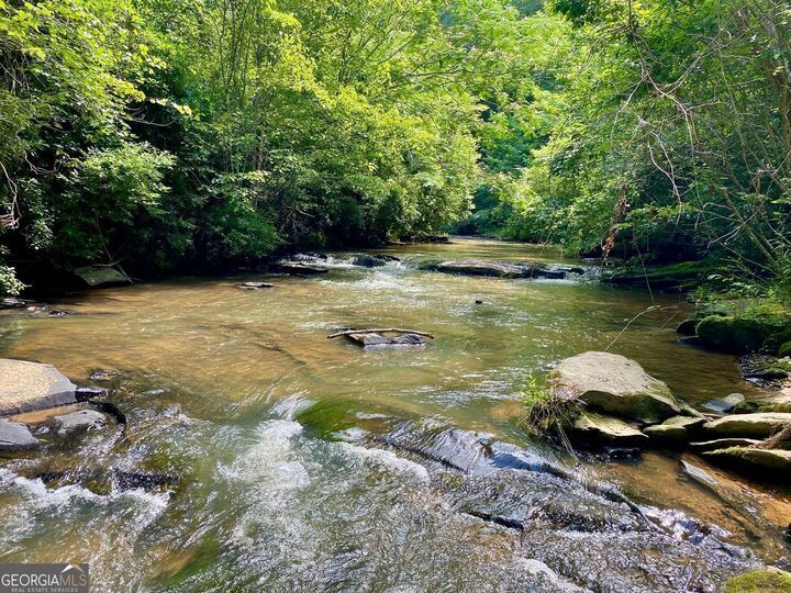 Property Photo:  7680 Banks Mill Road Road  GA 30135 