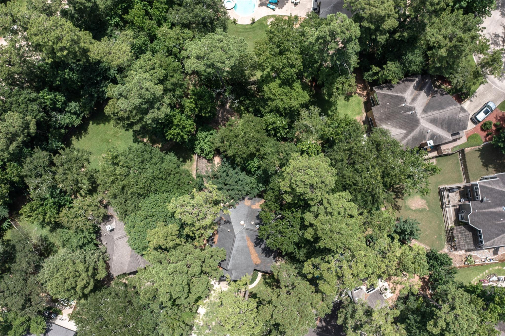 Property Photo: 98 E Greywing Court TX 77382