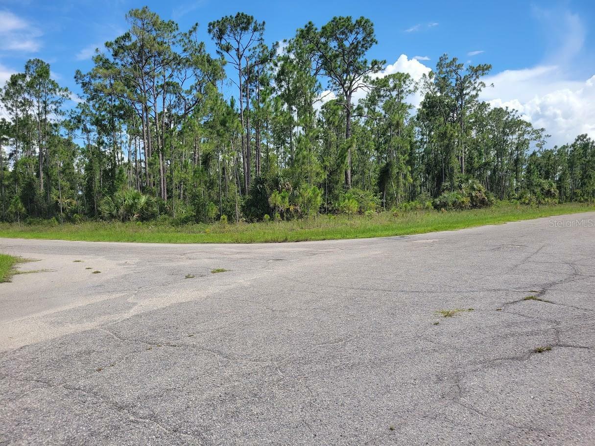 Property Photo: Langlais Drive FL 34288