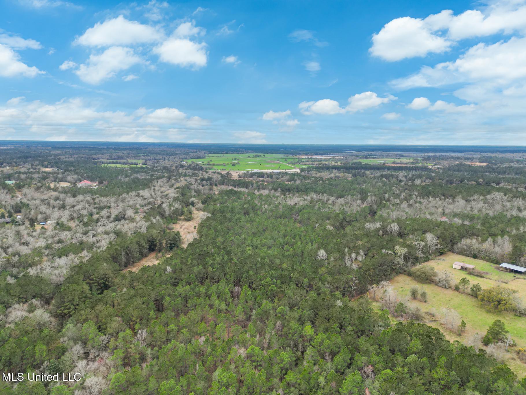 Property Photo:  Highway 43 Parcel 1  MS 39556 
