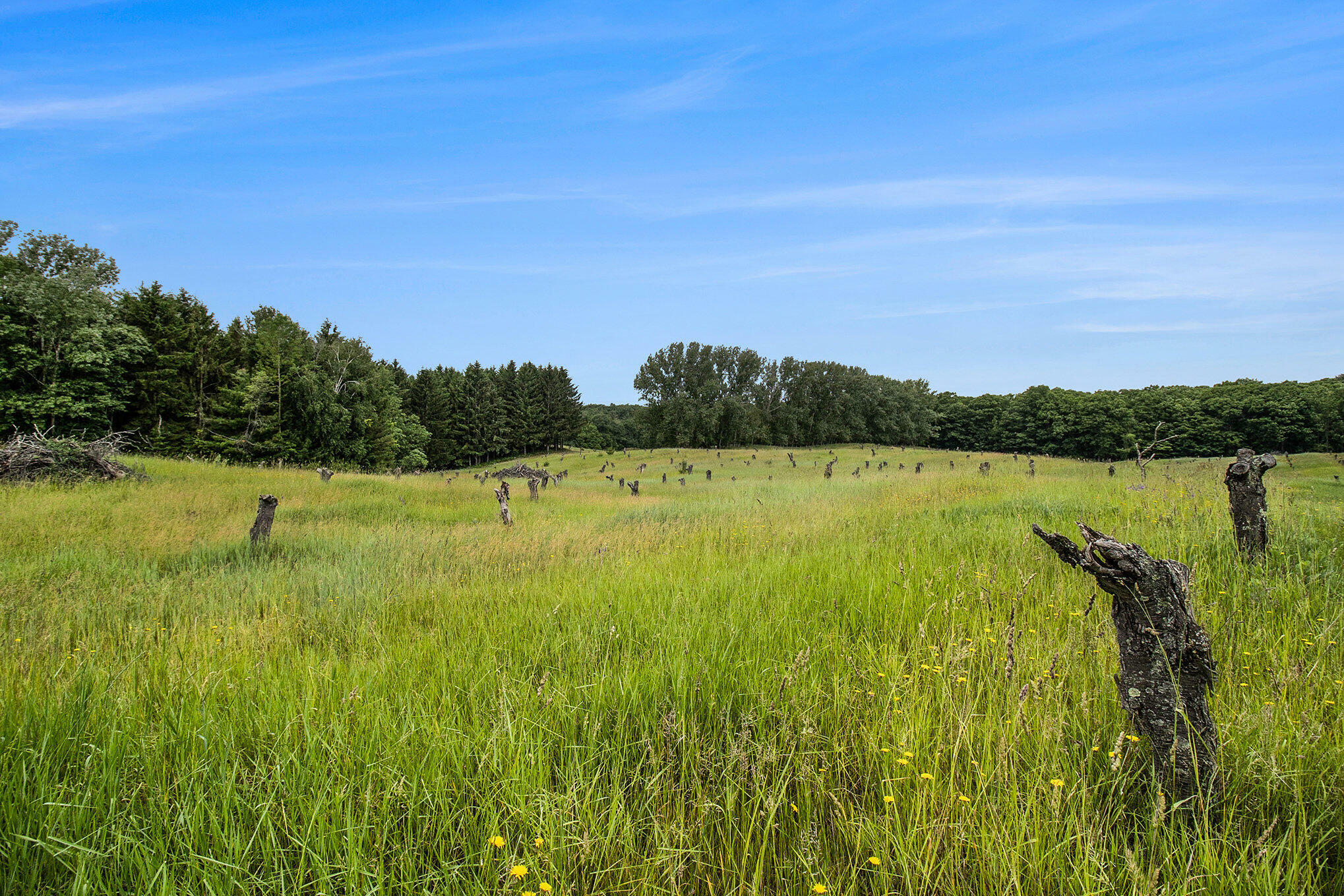 Property Photo: 6.24 Acres W Tyler Road MI 49436