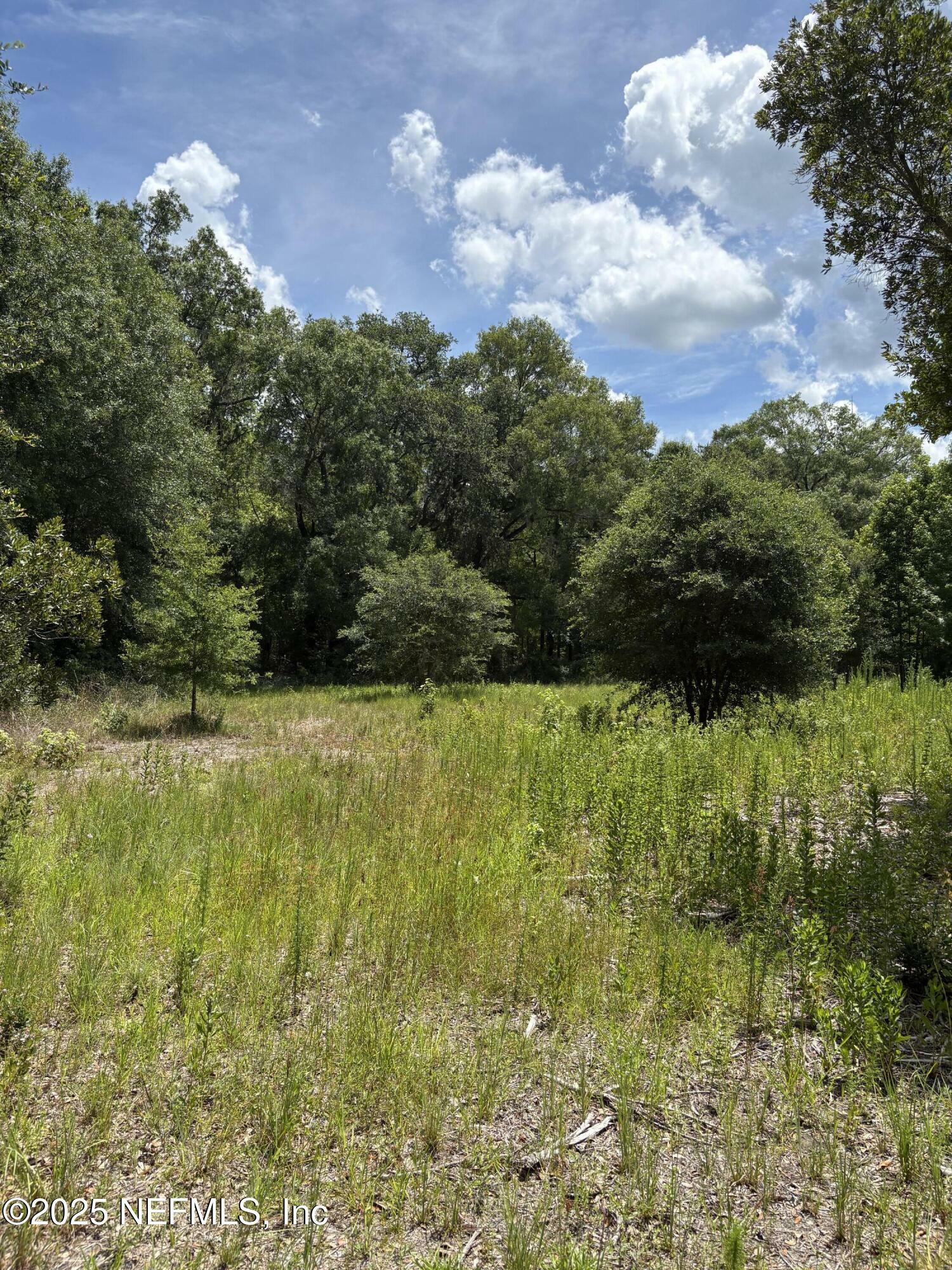 Property Photo:  22438 NW 44th Avenue  FL 32058 