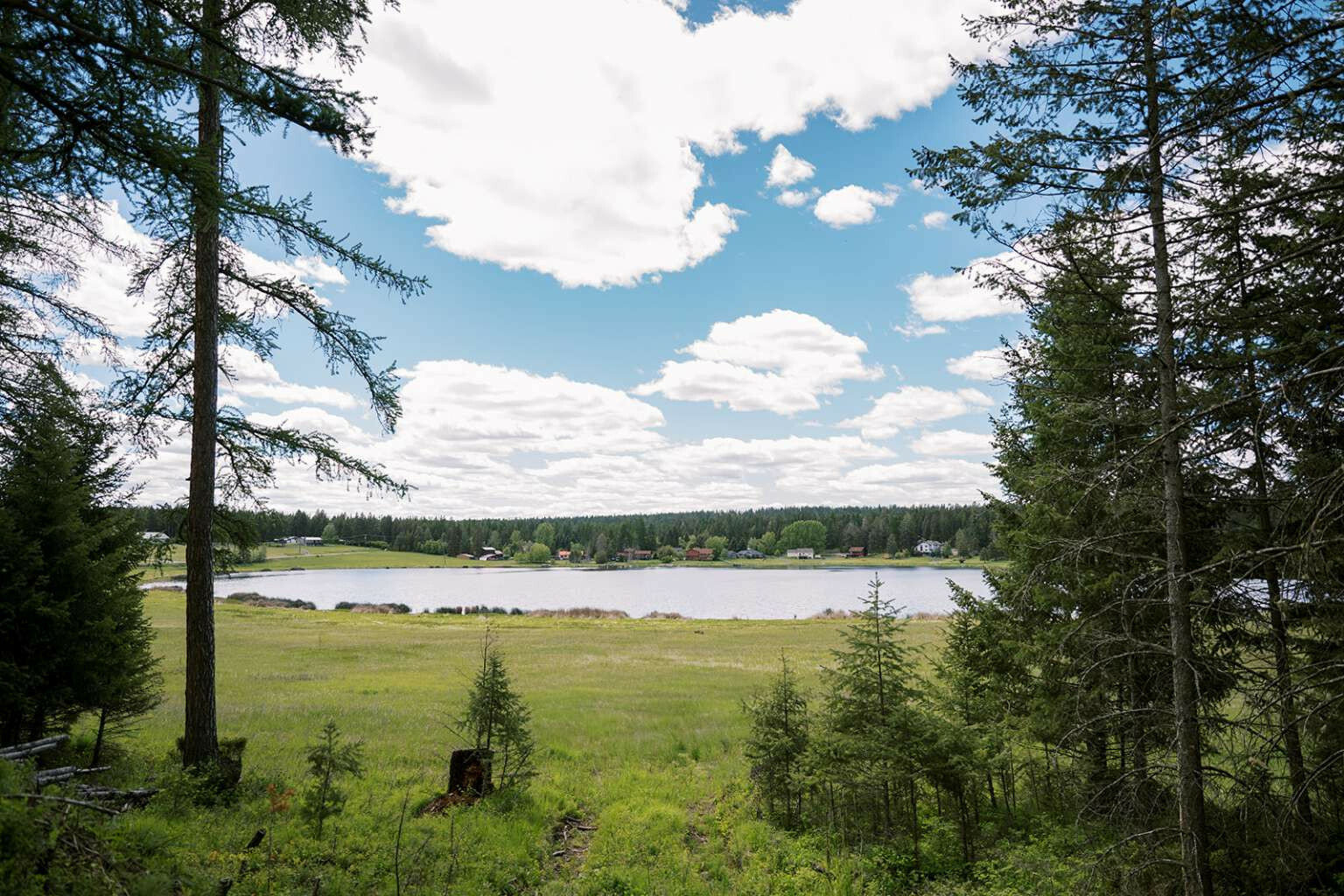 56 Wagon Wheel Road  Whitefish MT 59937 photo
