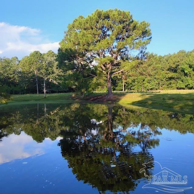 Property Photo: 939 Avalon Blvd FL 32583