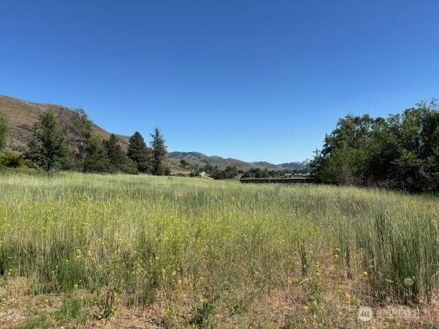 Property Photo:  0  Perry Street Ct  WA 98862 