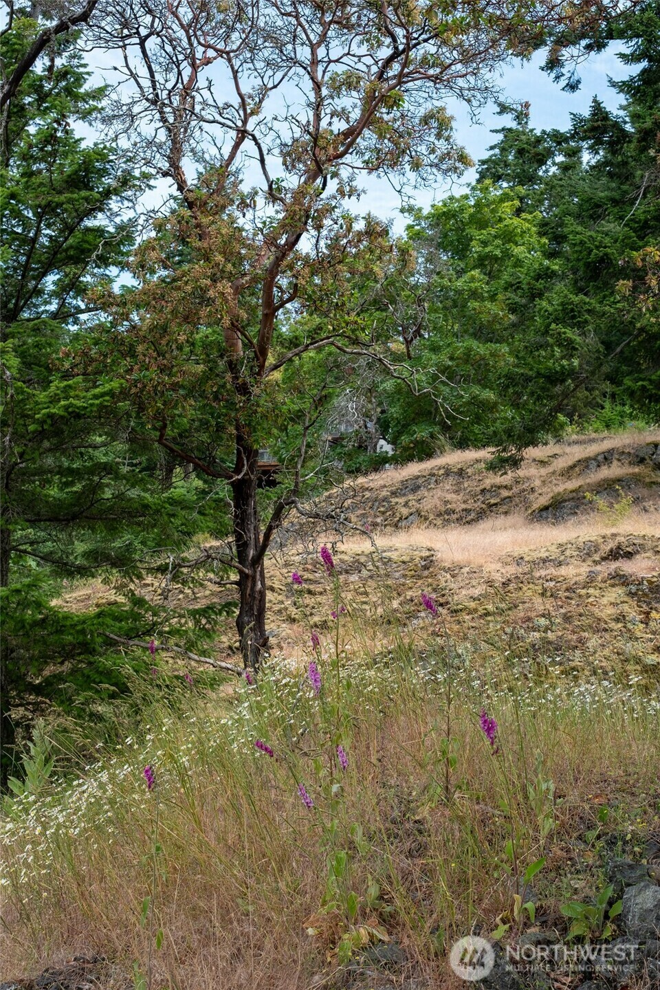 Property Photo: 245 Veneda Trail WA 98245