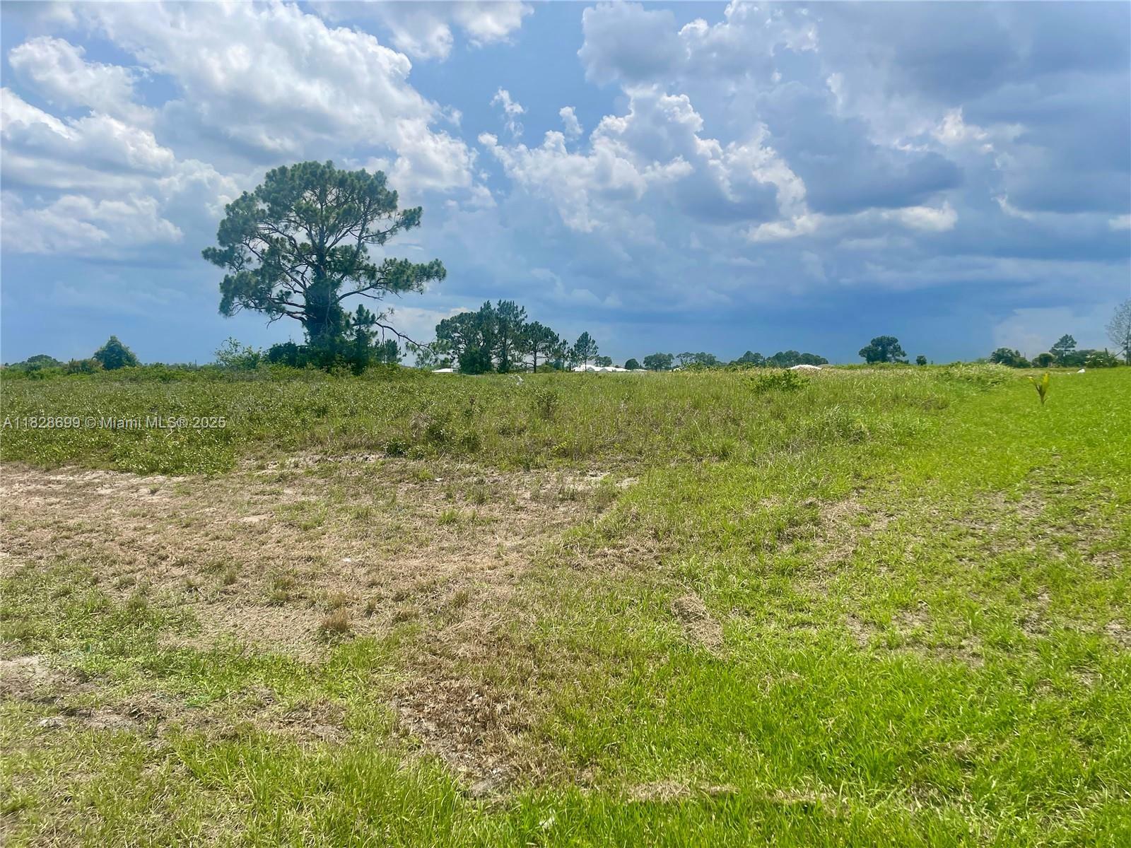 Property Photo: 9035 W Justice FL 33935