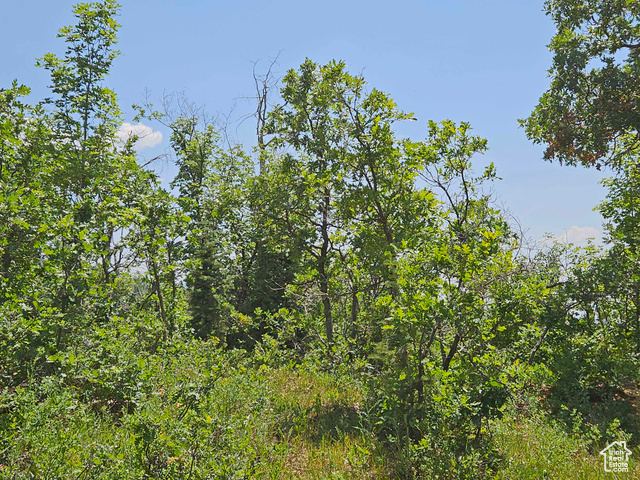 Property Photo: 844 E Edgewood Dr 844 UT 84629
