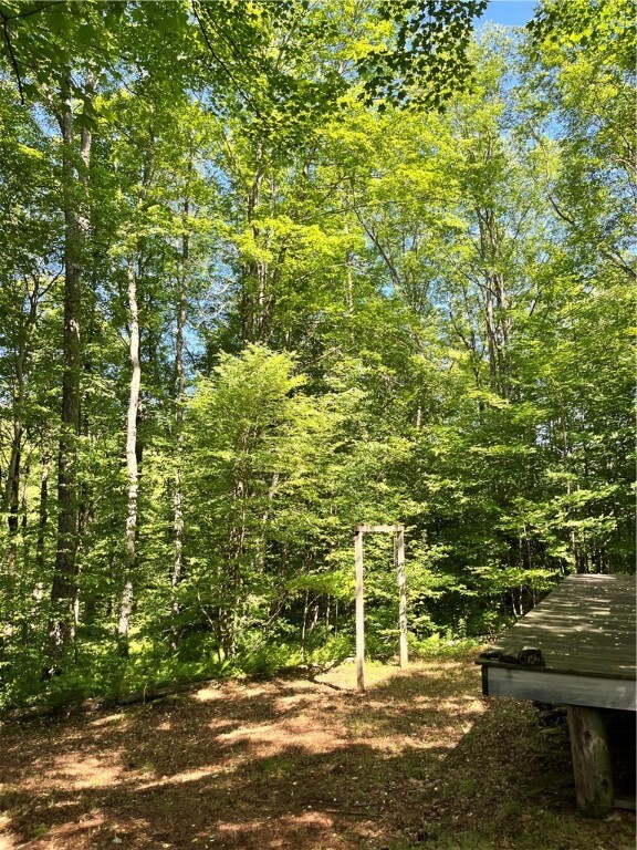 Property Photo: 2865 Steam Mill Road NY 13804