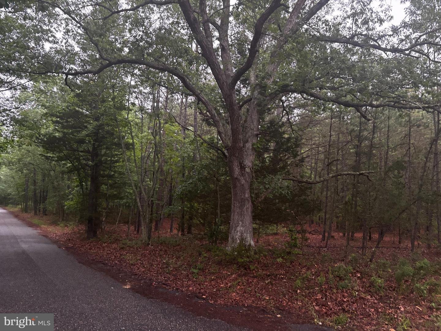 Property Photo: 6756 Sixteenth Avenue NJ 08330