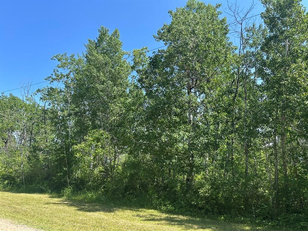 Property Photo: 57 Heathwood Drive MB R0E 2A0