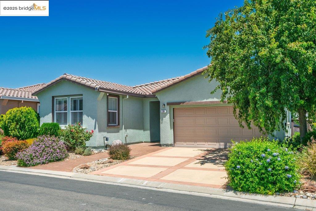 Property Photo: 504 Birch Ridge Dr CA 94571
